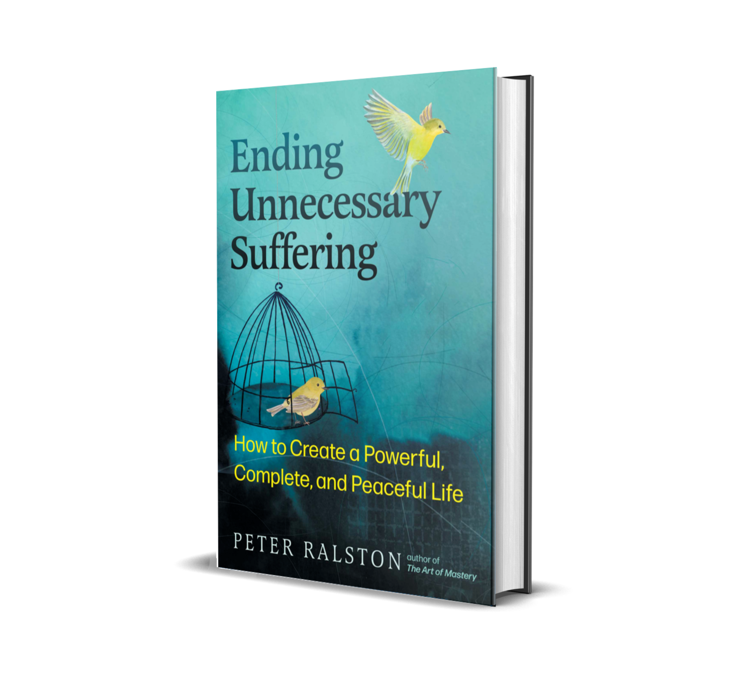 ending unnecessary suffering book, peter ralston, consciousness work